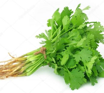 FRESH CORIANDER 100GRAM