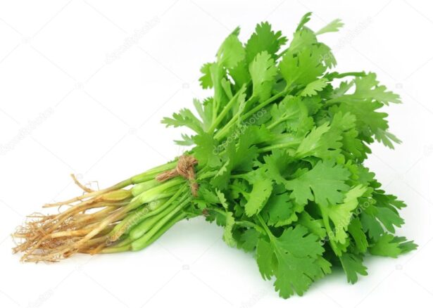 FRESH CORIANDER 100GRAM