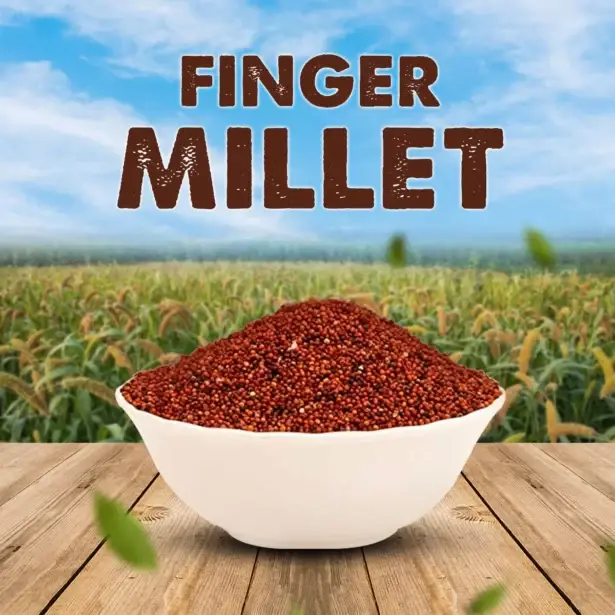 FINGER MILLET (RAGI WHOLE) 500GM