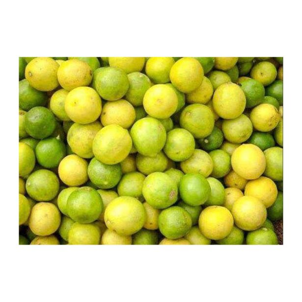LEMON 300GM
